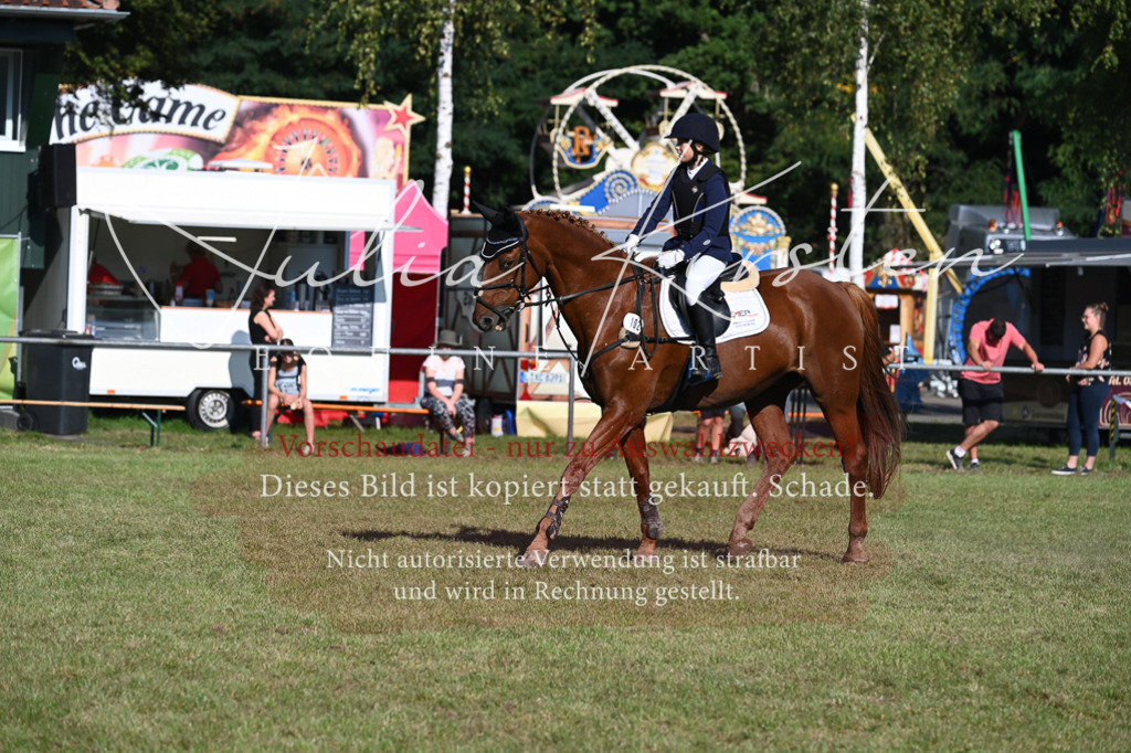 DSC_5103 | Pferde- und Turnierfotografie in Westsachsen. Pferdeportraits, Auftragszeichnungen und intuitive Kunst.