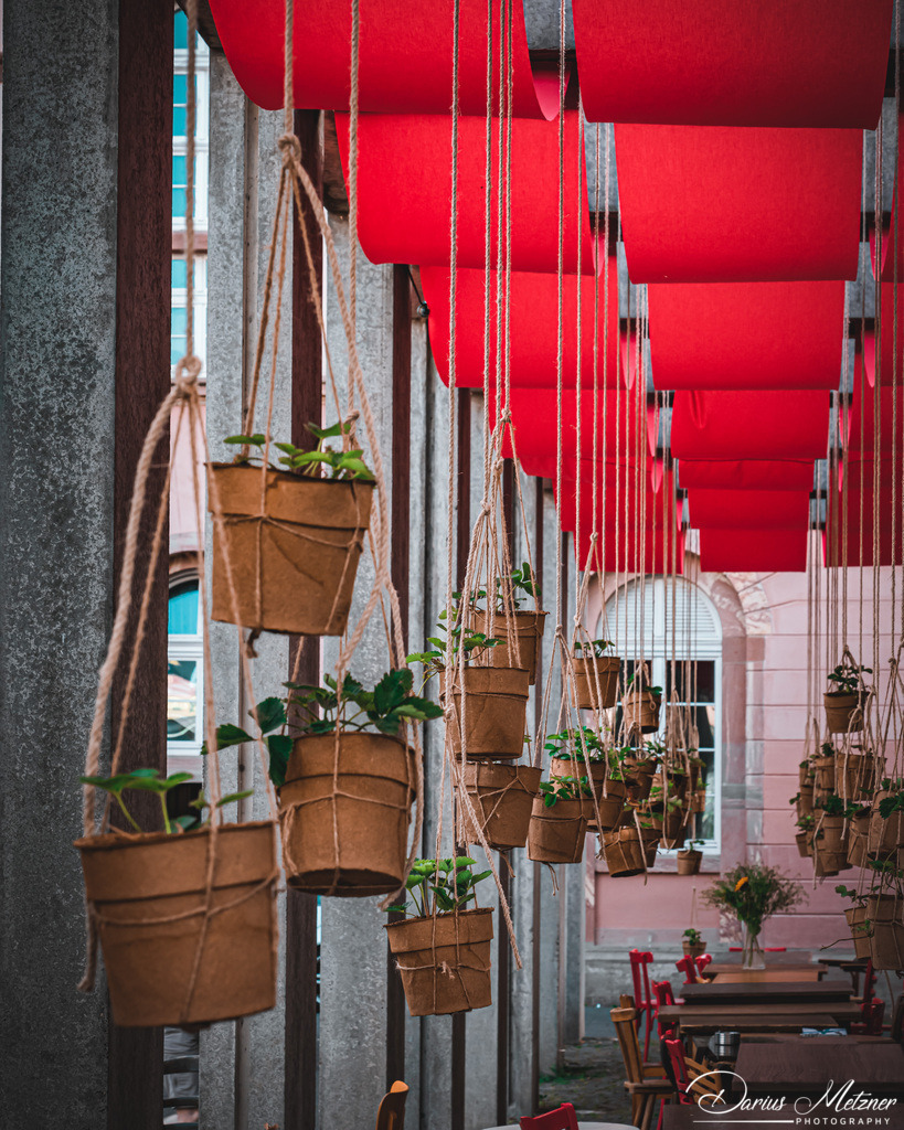 _DSC1682 | Fotografien, Fotos und Bilder aus Mainz, Frankfurt, Wiesbaden und anderen Orten auf der Welt - Fotografiert von Darius Metzner