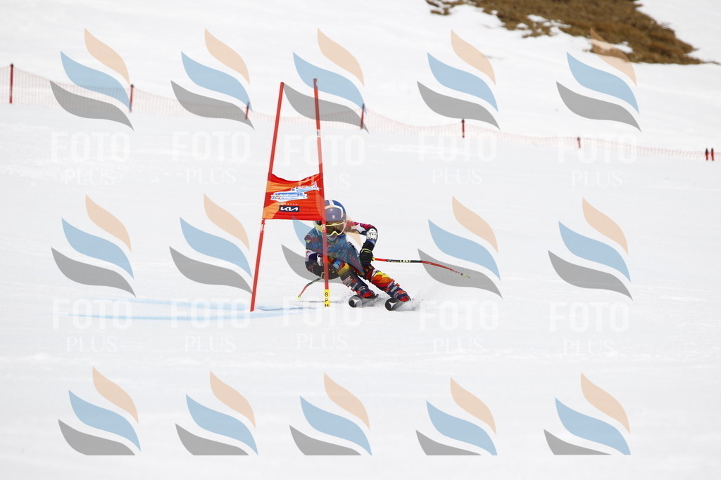 _U3G7154 | holidayphoto