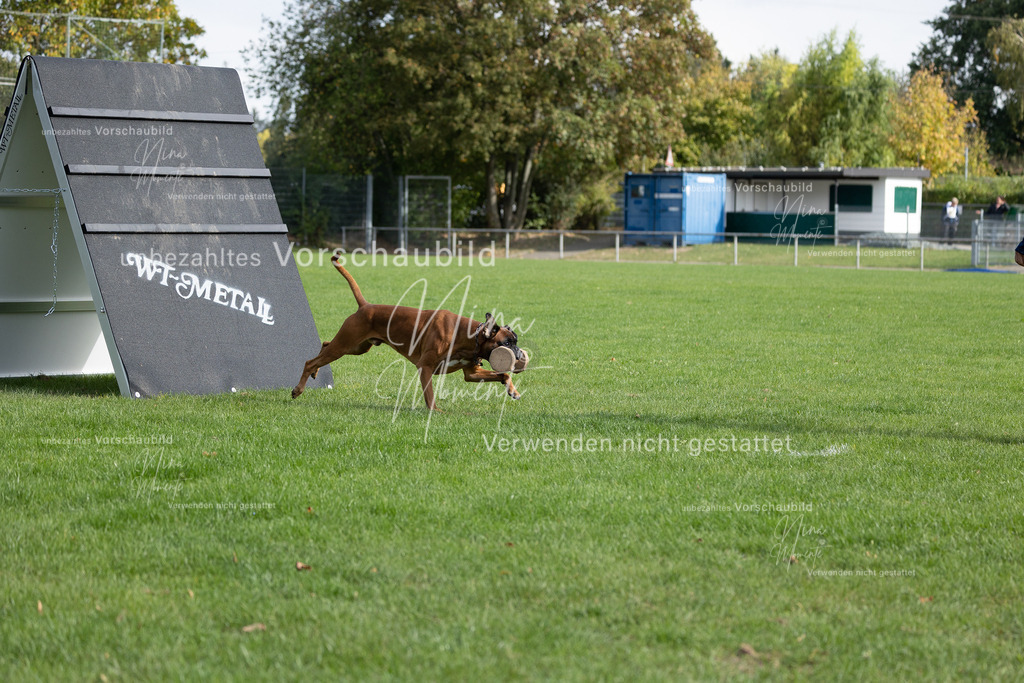 _16A6629 | Einzigartige Fotos von Hunden & Menschen –Actionfotos, Portraits, Vereinsaufnahmen & Paarshootings – authentisch, lebendig & mit Herz.
