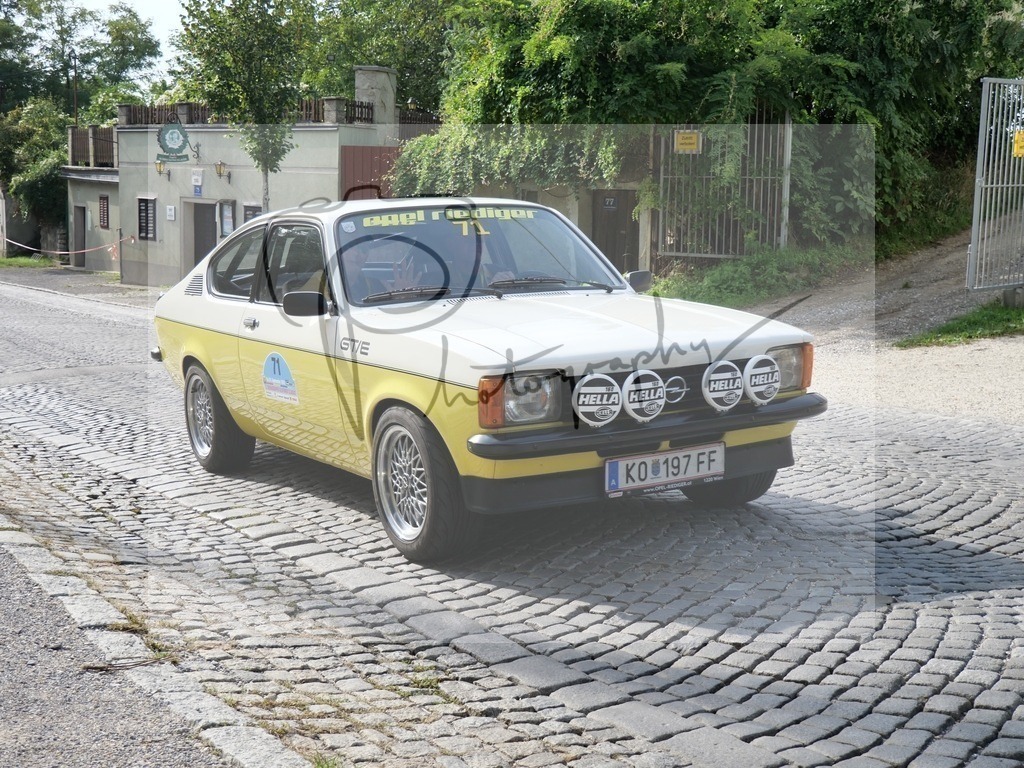 P1000167 | Gerhard Witt