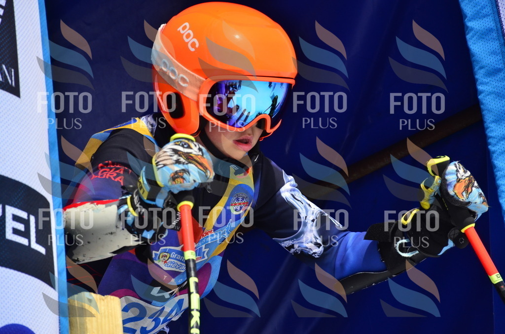 _ELE1665 | holidayphoto