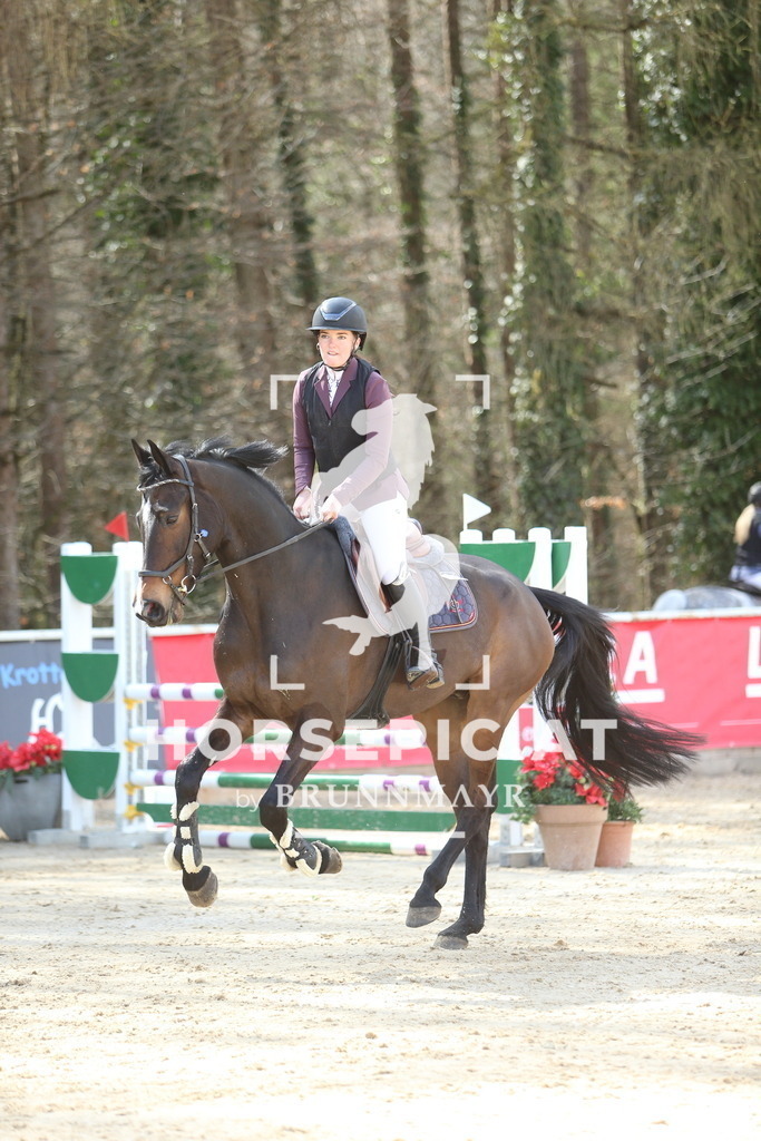 DL2Q9001 | Willkommen bei Brunnmayr - Design & Fotografie – Ihrem Spezialisten für Reitturniere und Pferdeveranstaltungen in Oberösterreich, Salzburg und Bayern! Seit über 17 Jahren sind wir leidenschaftlich dabei.