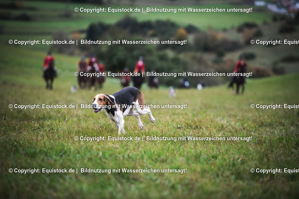 20241013_Jagd-Marbach_0214 | Foto: Thomas Hartig