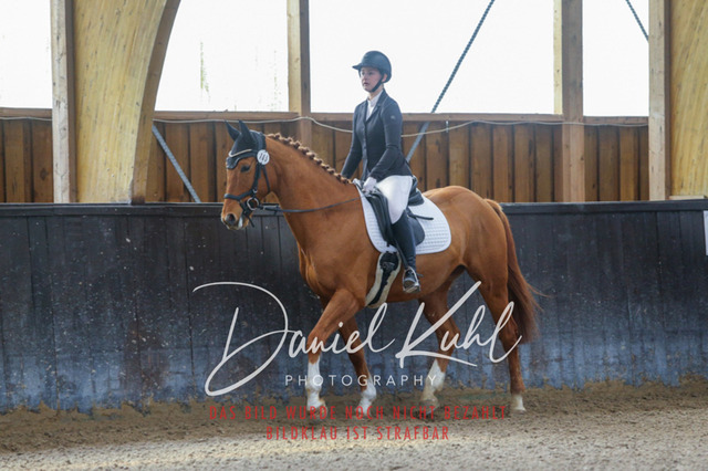 IMG_0800 | Turniersportfotografie; Pferdefotografie; Dressurfotografie