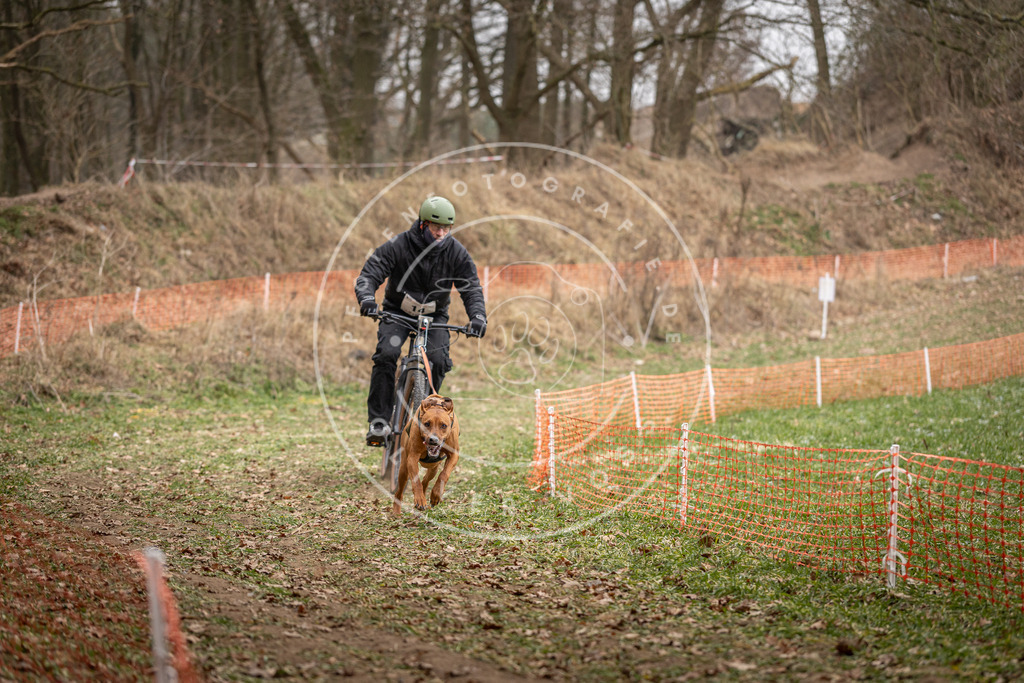 Pfotenfotografie_DV3A6820 | Hundefotografie, Tierfotograf, Pfotenfotografie, Fotoshooting Hund, Hunde Portrait, Hundesport, Hundeportraits, Heideshooting, Hunde, Sportfotograf, Hundefotograf, Turnierhundsport, THS,  - Realisiert mit Pictrs.com