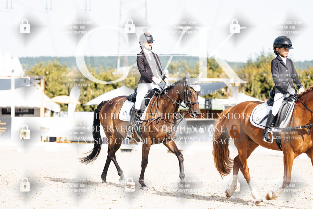 CK905245 | Turnierfotografie Pferdefotografie Trier Rheinland-Pfalz Pferdesport Reitsport Tierfotografie Sportfotografie Pferdevideo Pferdevideografie Equestrianvideography equestrianphotography  - Realisiert mit Pictrs.com