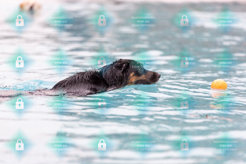 _HP_7124_1000o | HetPix, HetPix Fotodesign, Fotografie, Fotodesign, Webshop, Sportfotografie, Portraitfotografie, Onlineshop, Sportfotografie, Polch, Motorsportfotografie, Eventfotografie