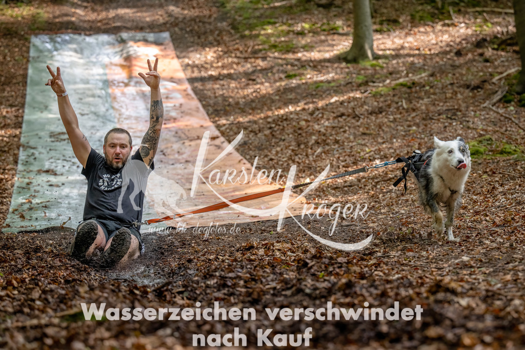 1139_ZZ91797-Bearbeitet | kk-dogfotos