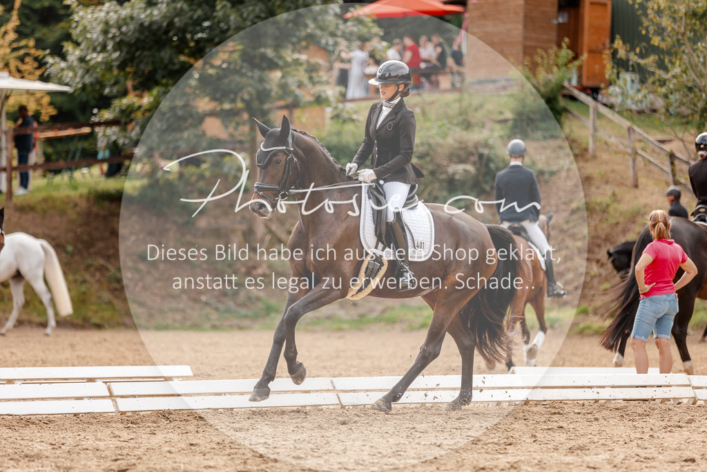 3I6A4081 | Stimmungsvolle Portraits und Reitsportfotografie im Ruhrgebiet und im Münsterland.

Pferdefotografie, Hundefotografie, Tierfotografie, Reportagen, Portraits von Tier und Mensch, Turnierfotografie in Bochum, Recklinghausen, Marl, Haltern am See, Dülmen.. - Realisiert mit Pictrs.com