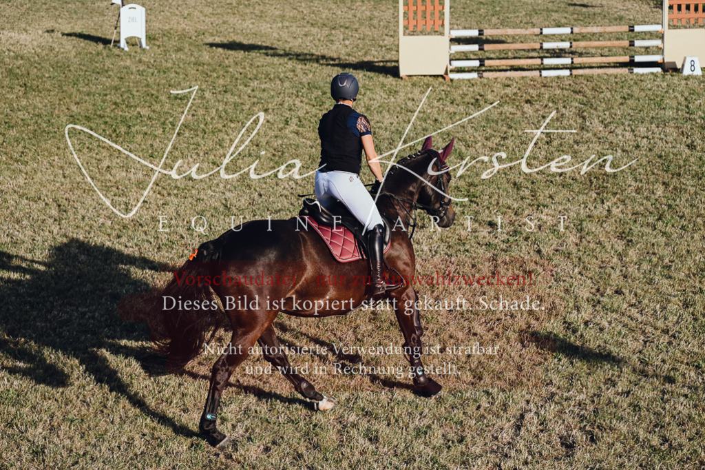 DSC_3231 | Pferde- und Turnierfotografie in Westsachsen. Pferdeportraits, Auftragszeichnungen und intuitive Kunst.