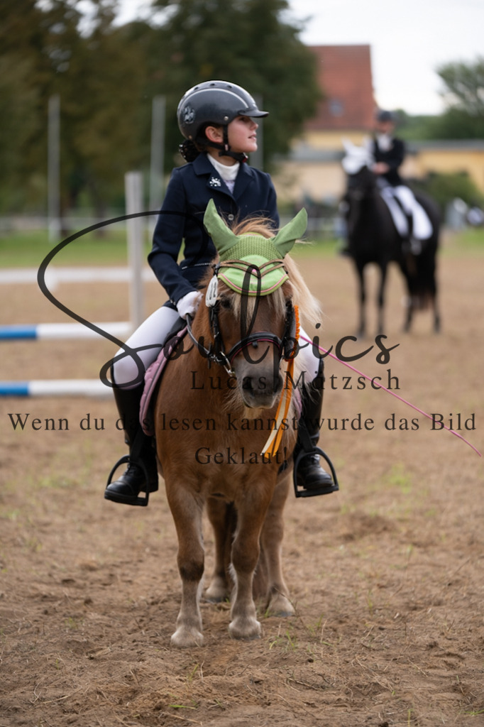 A7V05154 | Pferdefotograf