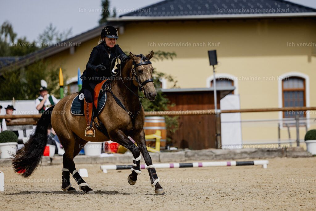 Katja7_FHC2025-20245 | working equitationturnier fotograf videograf stoibphotography marixx film working equitation deutschland reitsport turnierfotografie eventfotografie equestrian events