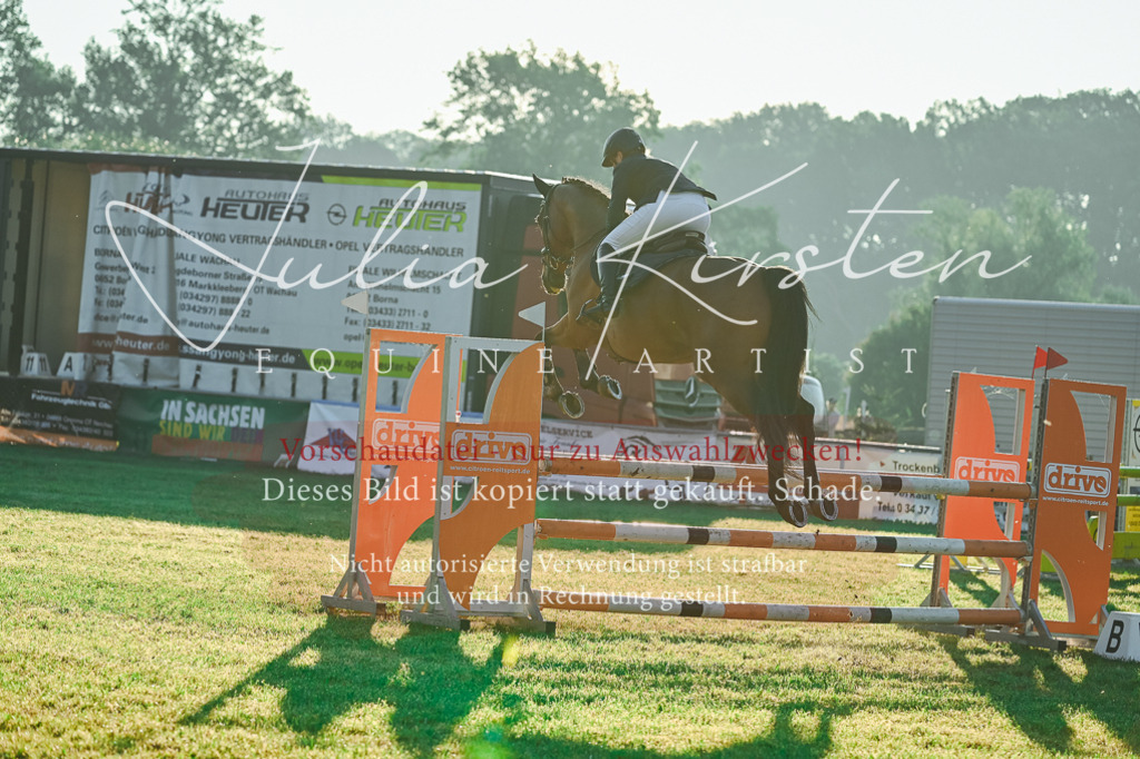 DSC_3844 | Pferde- und Turnierfotografie in Westsachsen. Pferdeportraits, Auftragszeichnungen und intuitive Kunst.
