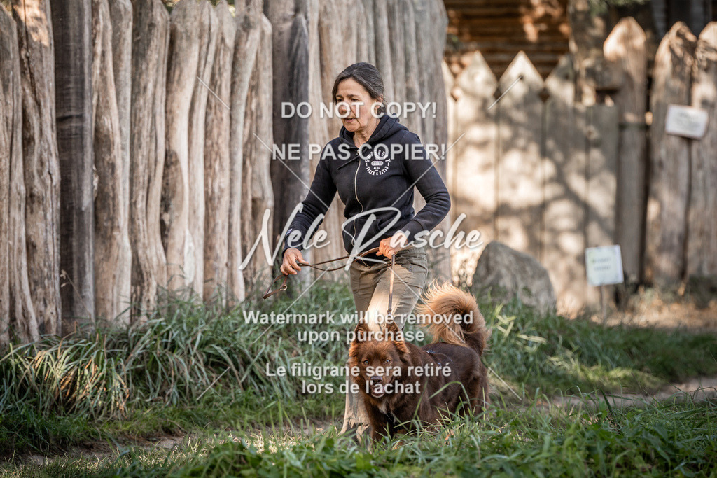 nelerasche_slaw24So_73 | nelerasche