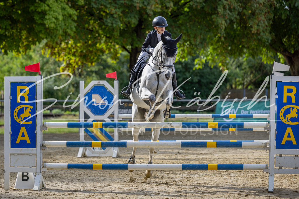 20260905-_3LI7213 | Tierfotografie Pferde, Hunde, Katzen, Haustiere.
Turnierfotografie Reitturniere, Reiten, Springreiten, Dressur in Hanau, dem Main-Kinzig-Kreis und dem Rhein-Main- Gebiet um Frankfurt