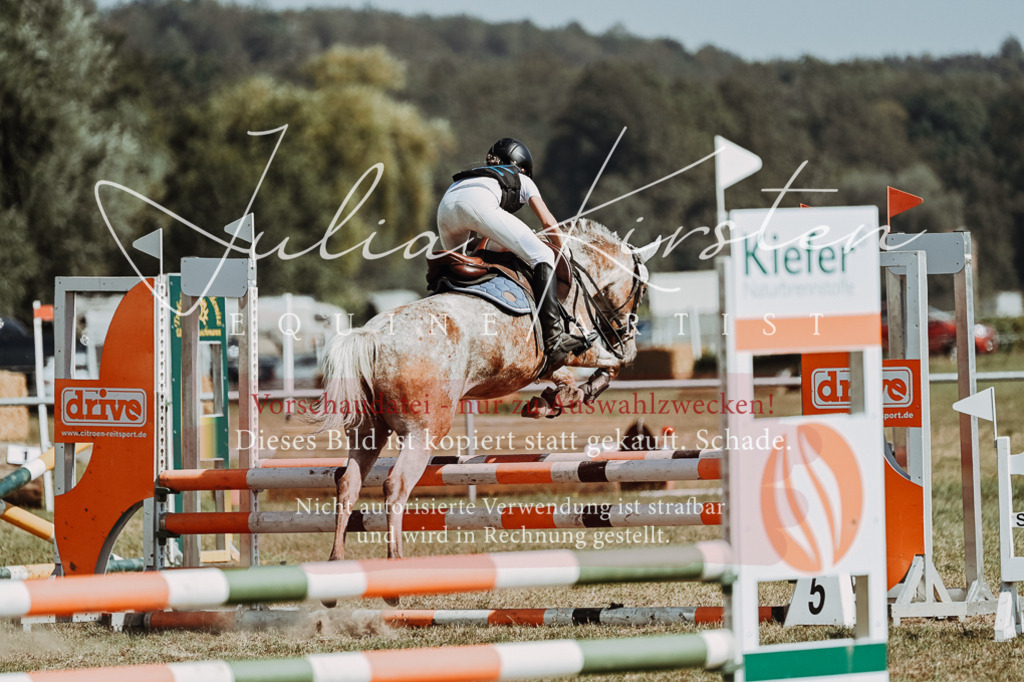 DSC_9759 | Pferde- und Turnierfotografie in Westsachsen. Pferdeportraits, Auftragszeichnungen und intuitive Kunst.