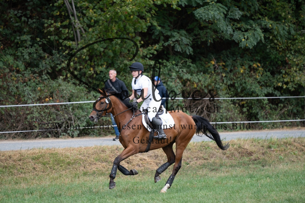 A7V00721 | Pferdefotograf