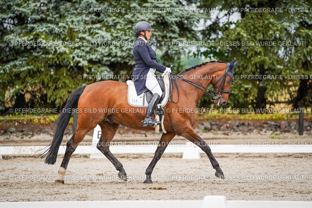 DSC09629 | Pferdegrafie