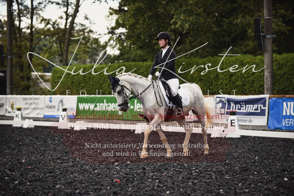 DSC_3956 | Pferde- und Turnierfotografie in Westsachsen. Pferdeportraits, Auftragszeichnungen und intuitive Kunst.