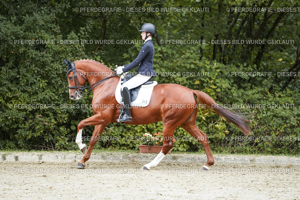 DSC00838 | Pferdegrafie