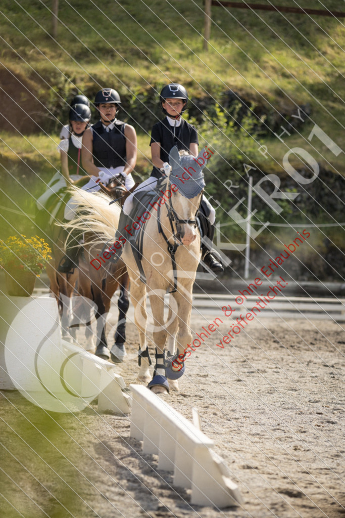 IMG_5868 | Sport-, Event- und Tierfotos in Profiqualität. Einfach auswählen, bestellen und herunterladen. Dein Moment – perfekt festgehalten.