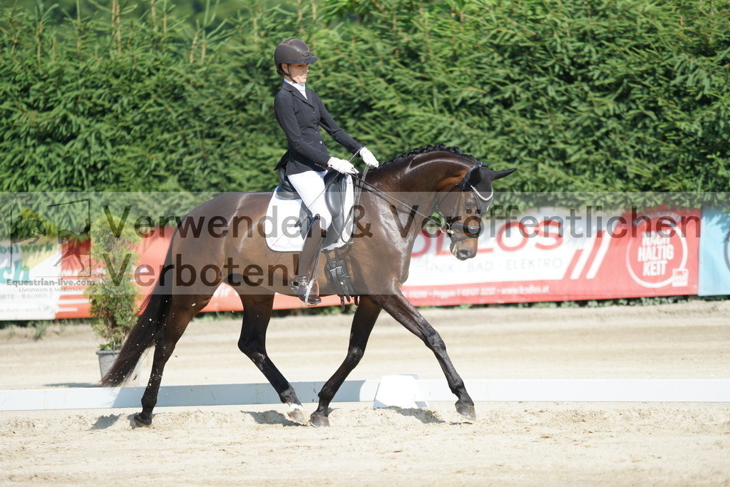 DSC01391 | equestrian-live-com