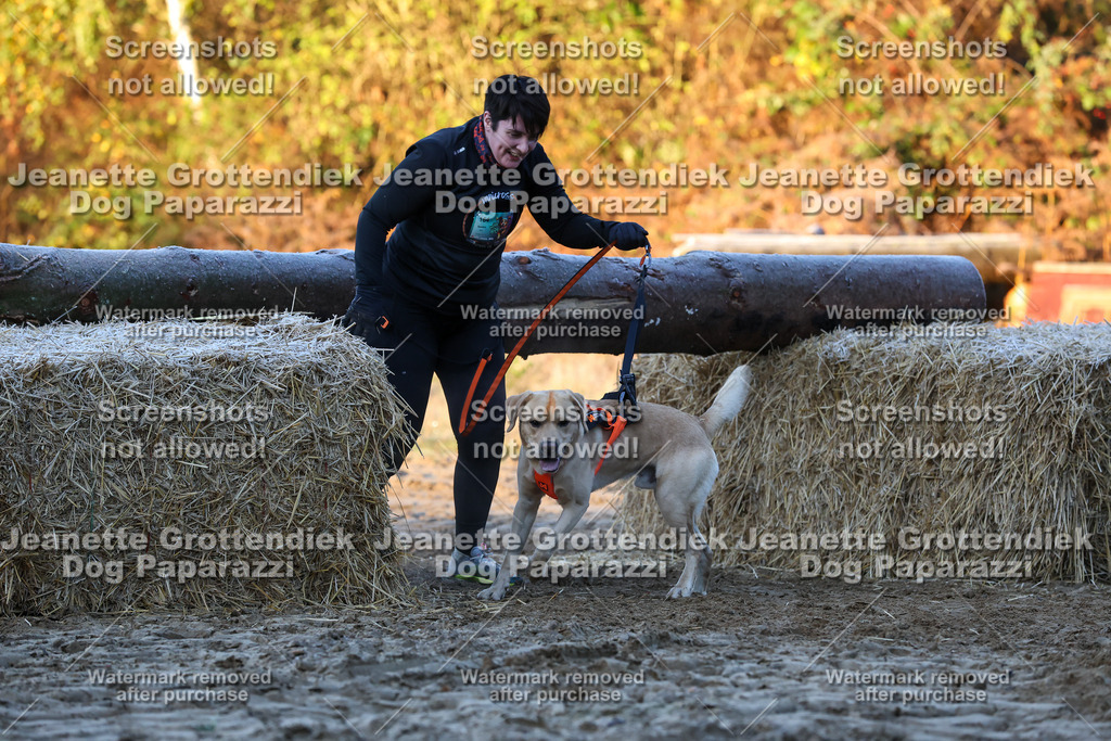 Dog Paparazzi - Strongdog 10-25-446 | Dog Paparazzi Jeanette Grottendiek Fotografie & Videografie - Realisiert mit Pictrs.com