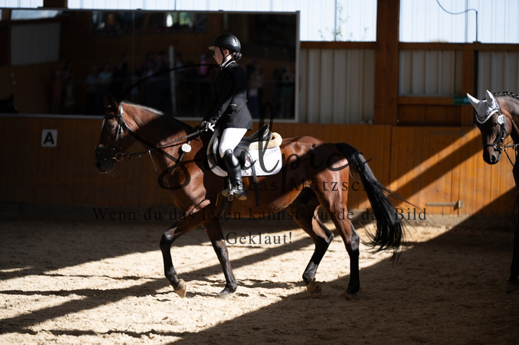 A7V02166 | Turnier/Reitfotograf