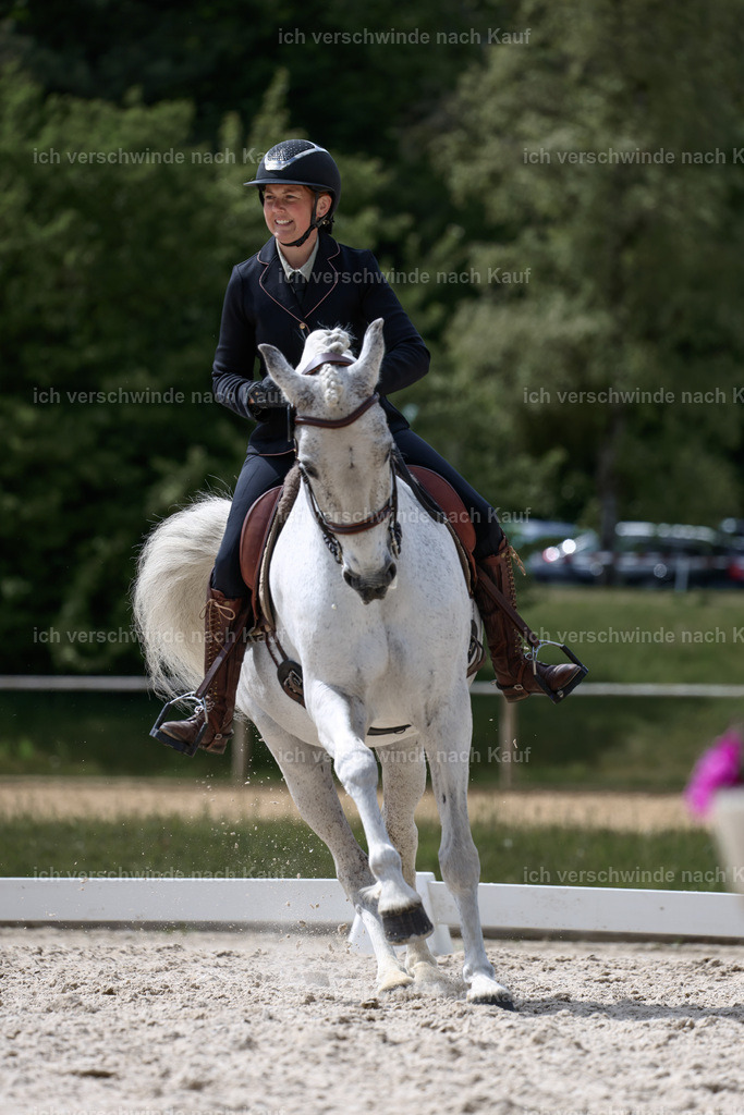 PI26_DR_246_Stoibphotography_C2_L7084A.jpg | working equitationturnier fotograf videograf stoibphotography marixx film working equitation deutschland reitsport turnierfotografie eventfotografie equestrian events