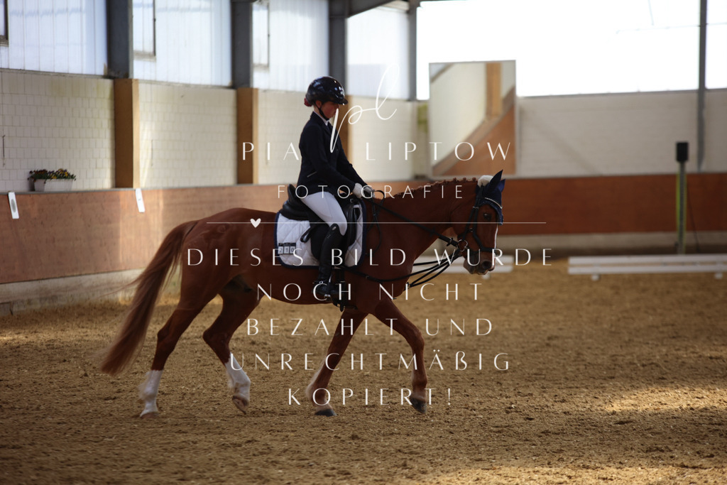 IMGT4172 | pl-fotografie