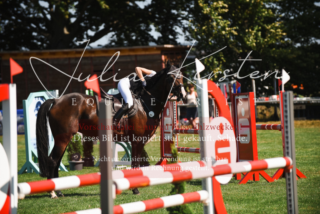 DSC_2704 | Pferde- und Turnierfotografie in Westsachsen. Pferdeportraits, Auftragszeichnungen und intuitive Kunst.
