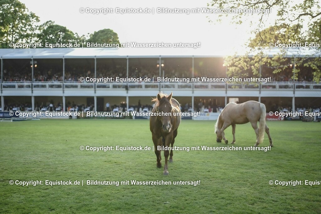 20230526_Impressionen_0335 | equistock