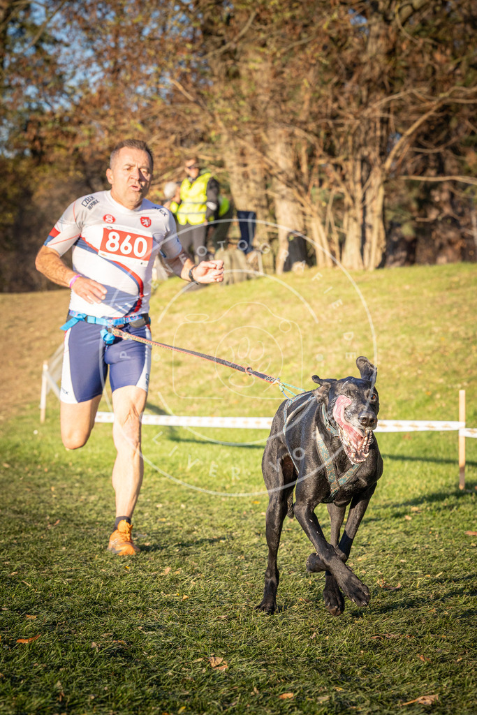 CaniXpix_0L8A0917 | Hundefotografie, Tierfotograf, Pfotenfotografie, Fotoshooting Hund, Hunde Portrait, Hundesport, Hundeportraits, Heideshooting, Hunde, Sportfotograf, Hundefotograf, Turnierhundsport, THS,  - Realisiert mit Pictrs.com