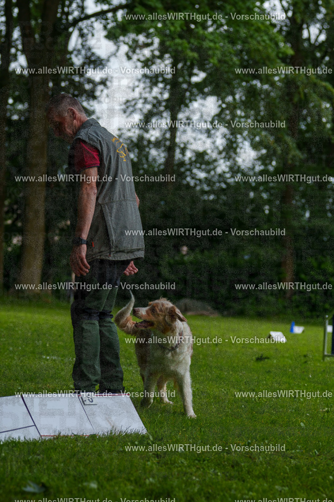 @allesWIRTHgut_Tierfotografie - www.allesWIRTHgut.de - 095956-7R507930 | Professionelle Tierfotografie in Mönchengladbach von Daniel Wirth (allesWIRTHgut). Liebevolle & natürliche Bilder von Hunden & Katzen für unvergessliche Erinnerungen.