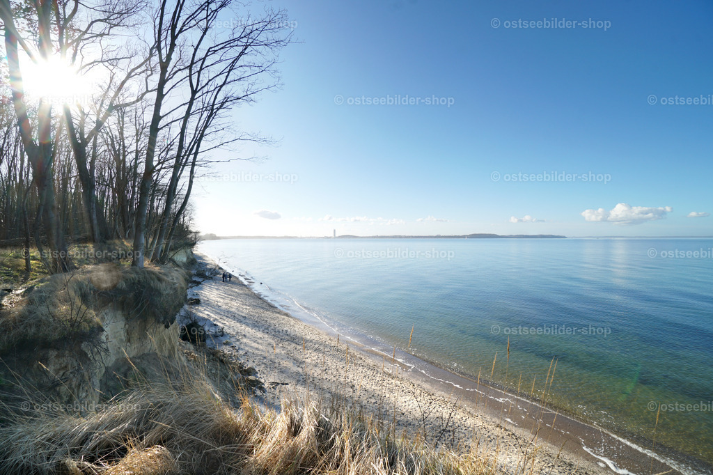 Frühjahrssonne zwischen Bäumen auf dem Steilufer | Die ersten Sonnenstrahlen des Frühlings werfen Lichtflecken auf den Waldboden des Steilufers.