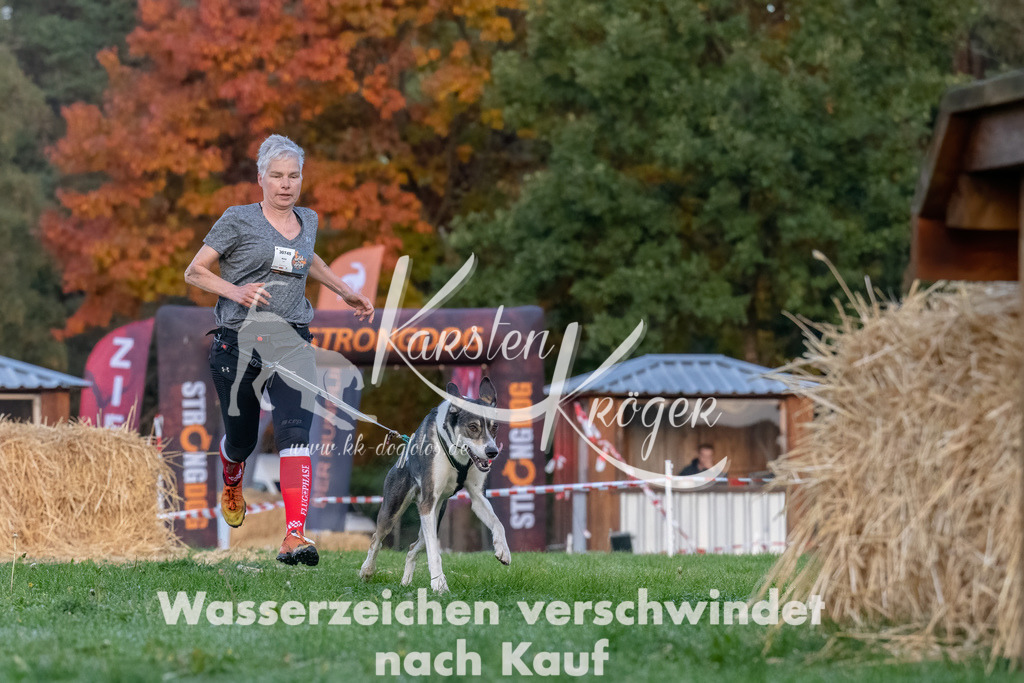 0811_ZZ94636-Bearbeitet | kk-dogfotos
