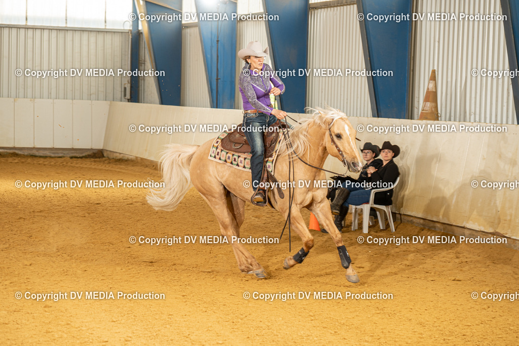 MIT01386 | dv-media-shop - Realisiert mit Pictrs.com