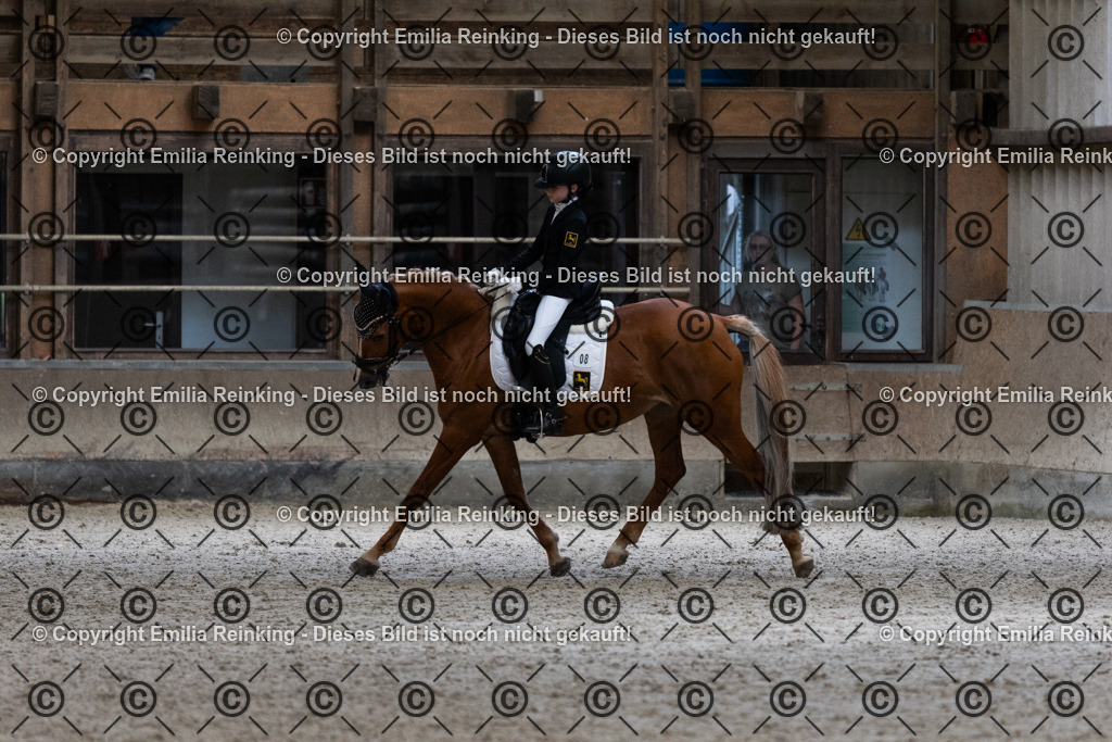 CL5A5401 | Emilia Reinking Fotografie - Realisiert mit Pictrs.com