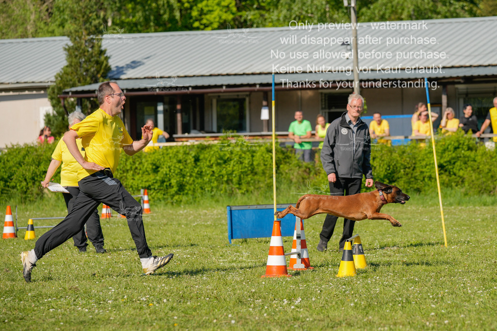 Sa_CSC-348 | stephaniefillaphotographie - Realisiert mit Pictrs.com