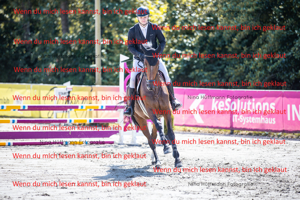 BK1A5271 | Turnierbilder Turnierfotos Nina Hüffmann Turnierfotografie Pferdefotografie Tierzeichnung Haustierzeichnung Pferdezeichnung Hundezeichnung Videograf  - Realisiert mit Pictrs.com