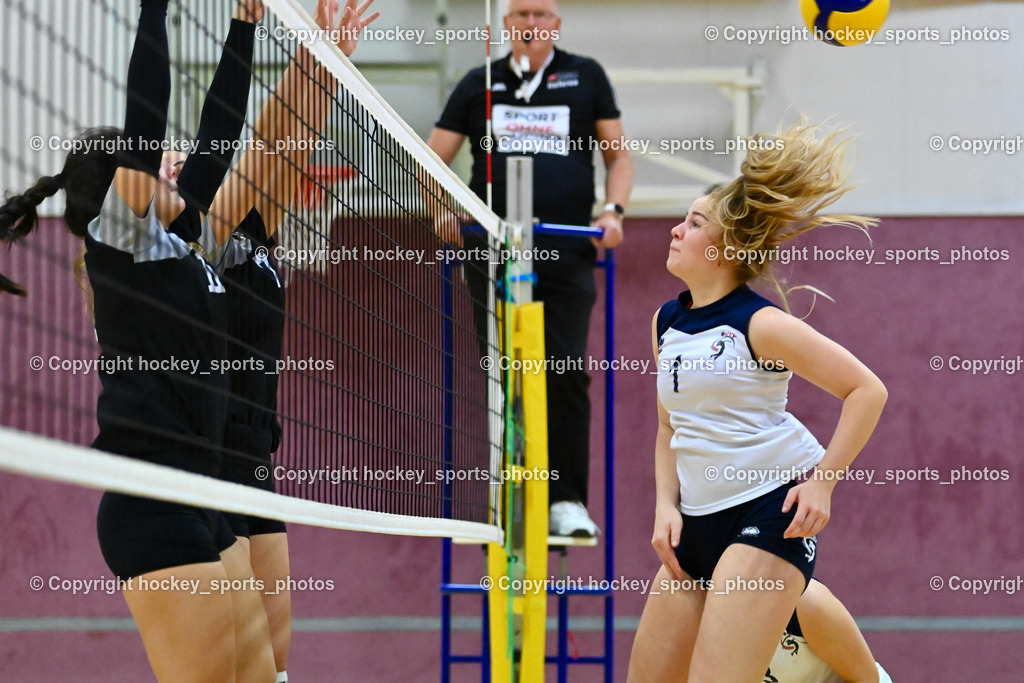 ASKÖ Volley Eagles vs. UVV Seekirchen 10.12.2022 | #1 PURER Emilia, #11 PRANJIC Ana