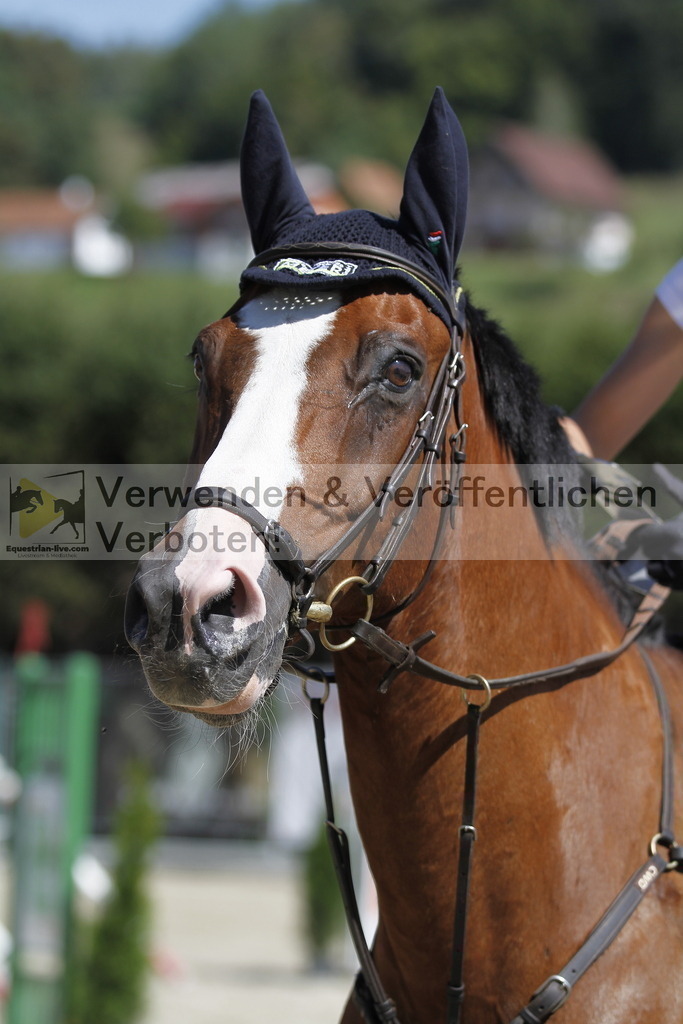 _MG_5265 | equestrian-live-com