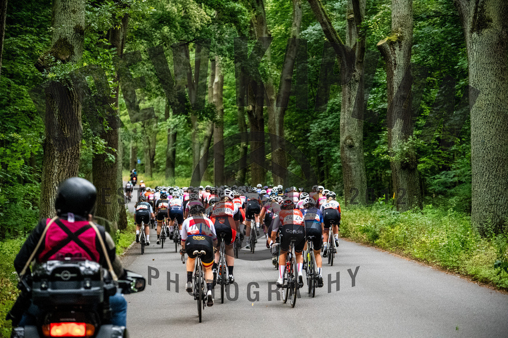 _DKP9940 | Drew Kaplan Photography