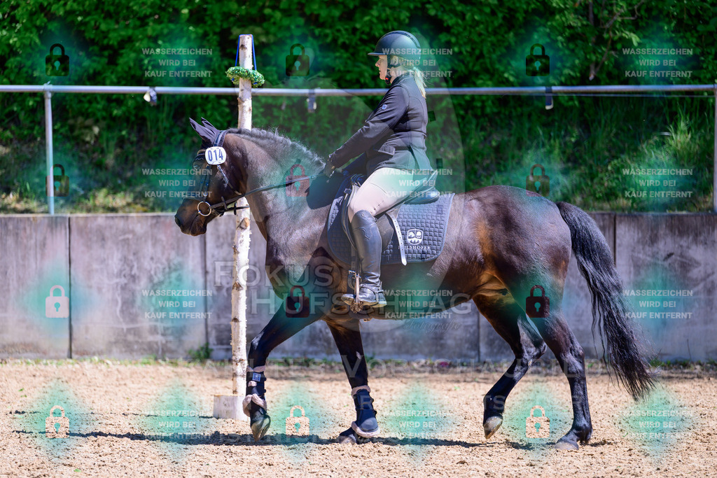 01052026-Giesenbach-02-Stiltrail-0167 | Fokus Hufschlag Fotografie - Realisiert mit Pictrs.com