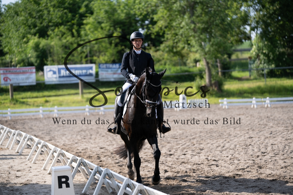 A7V02395 | Pferdefotograf