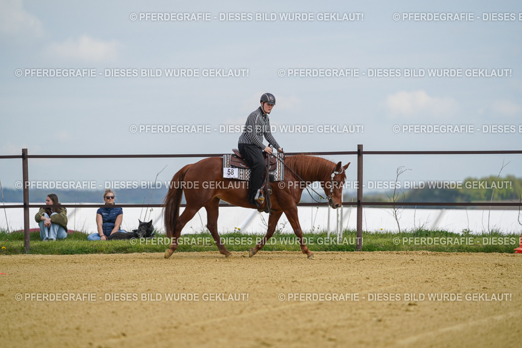 DSC05612 | Pferdegrafie