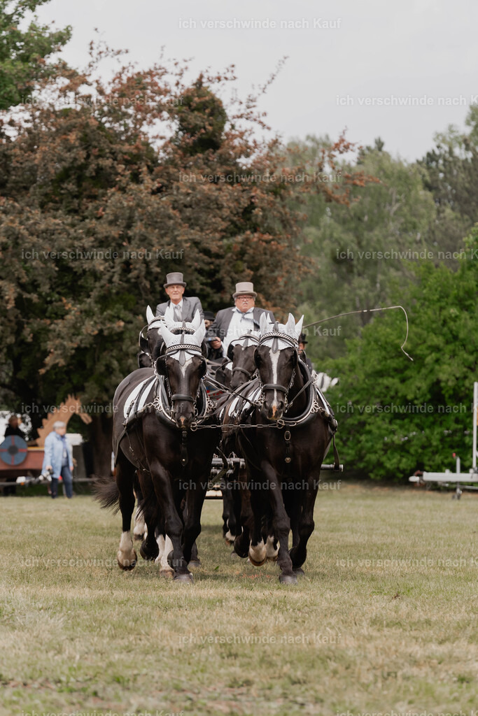 Showprogramm-143 | working equitationturnier fotograf videograf stoibphotography marixx film working equitation deutschland reitsport turnierfotografie eventfotografie equestrian events