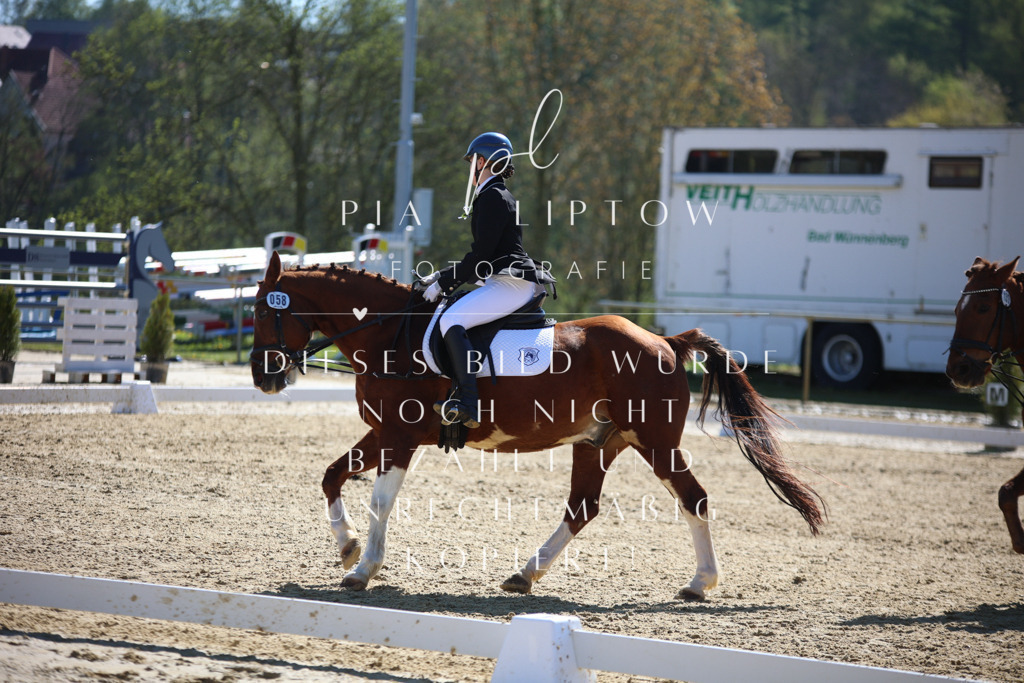 IMGT0492 | pl-fotografie