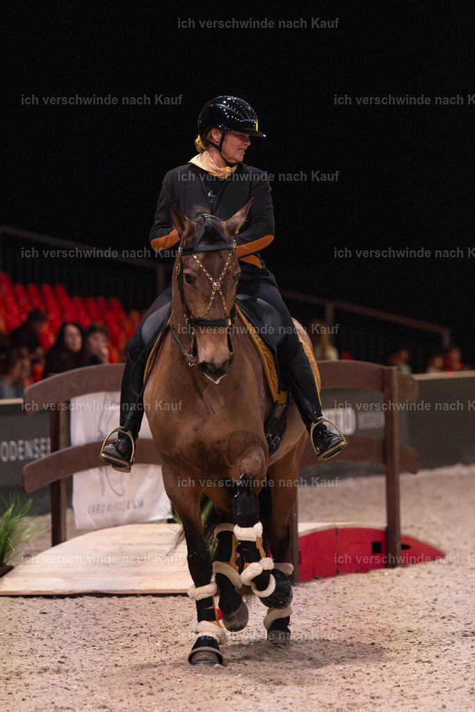 JoseraCup-43 | working equitationturnier fotograf videograf stoibphotography marixx film working equitation deutschland reitsport turnierfotografie eventfotografie equestrian events